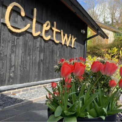 Celf Cletwr Art